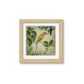 Picture of Yellow Nostalgic Tropical Birds _GroupedProduct_Square_Framed_Matted_
