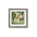 Picture of Yellow Nostalgic Tropical Birds _GroupedProduct_Square_Framed_Matted_
