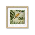 Picture of Yellow Nostalgic Tropical Birds _GroupedProduct_Square_Framed_Matted_