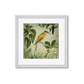 Picture of Yellow Nostalgic Tropical Birds _GroupedProduct_Square_Framed_Matted_