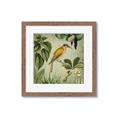 Picture of Yellow Nostalgic Tropical Birds _GroupedProduct_Square_Framed_Matted_