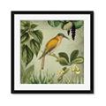 Picture of Yellow Nostalgic Tropical Birds _GroupedProduct_Square_Framed_Matted_