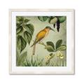 Picture of Yellow Nostalgic Tropical Birds _GroupedProduct_Square_Framed_Matted_
