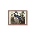 Picture of Vintage Heron Bird _GroupedProduct_Rectangle_Landscape_Framed_Matted_