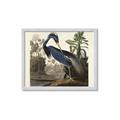 Picture of Vintage Heron Bird _GroupedProduct_Rectangle_Landscape_Framed_Matted_
