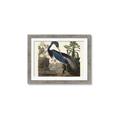 Picture of Vintage Heron Bird _GroupedProduct_Rectangle_Landscape_Framed_Matted_