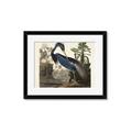Picture of Vintage Heron Bird _GroupedProduct_Rectangle_Landscape_Framed_Matted_