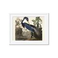 Picture of Vintage Heron Bird _GroupedProduct_Rectangle_Landscape_Framed_Matted_