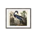 Picture of Vintage Heron Bird _GroupedProduct_Rectangle_Landscape_Framed_Matted_