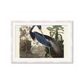 Picture of Vintage Heron Bird _GroupedProduct_Rectangle_Landscape_Framed_Matted_