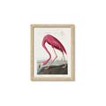 Picture of Vintage Pink Flamingo _GroupedProduct_Rectangle_Portrait_Framed_Matted_