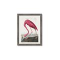 Picture of Vintage Pink Flamingo _GroupedProduct_Rectangle_Portrait_Framed_Matted_