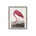 Picture of Vintage Pink Flamingo _GroupedProduct_Rectangle_Portrait_Framed_Matted_