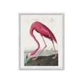 Picture of Vintage Pink Flamingo _GroupedProduct_Rectangle_Portrait_Framed_Matted_