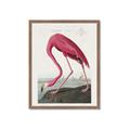 Picture of Vintage Pink Flamingo _GroupedProduct_Rectangle_Portrait_Framed_Matted_