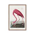 Picture of Vintage Pink Flamingo _GroupedProduct_Rectangle_Portrait_Framed_Matted_