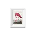 Picture of Vintage Pink Flamingo _GroupedProduct_Rectangle_Portrait_Framed_Matted_