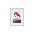 Picture of Vintage Pink Flamingo _GroupedProduct_Rectangle_Portrait_Framed_Matted_
