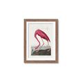 Picture of Vintage Pink Flamingo _GroupedProduct_Rectangle_Portrait_Framed_Matted_