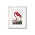 Picture of Vintage Pink Flamingo _GroupedProduct_Rectangle_Portrait_Framed_Matted_