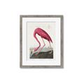 Picture of Vintage Pink Flamingo _GroupedProduct_Rectangle_Portrait_Framed_Matted_
