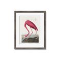 Picture of Vintage Pink Flamingo _GroupedProduct_Rectangle_Portrait_Framed_Matted_