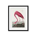Picture of Vintage Pink Flamingo _GroupedProduct_Rectangle_Portrait_Framed_Matted_