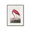 Picture of Vintage Pink Flamingo _GroupedProduct_Rectangle_Portrait_Framed_Matted_