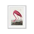 Picture of Vintage Pink Flamingo _GroupedProduct_Rectangle_Portrait_Framed_Matted_