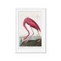 Picture of Vintage Pink Flamingo _GroupedProduct_Rectangle_Portrait_Framed_Matted_