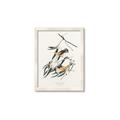 Picture of Two Yellow Warbler Birds _GroupedProduct_Rectangle_Portrait_Framed_Matted_