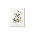Picture of Two Yellow Warbler Birds _GroupedProduct_Rectangle_Portrait_Framed_Matted_