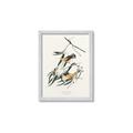 Picture of Two Yellow Warbler Birds _GroupedProduct_Rectangle_Portrait_Framed_Matted_
