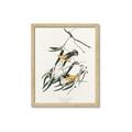 Picture of Two Yellow Warbler Birds _GroupedProduct_Rectangle_Portrait_Framed_Matted_