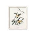 Picture of Two Yellow Warbler Birds _GroupedProduct_Rectangle_Portrait_Framed_Matted_