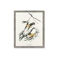 Picture of Two Yellow Warbler Birds _GroupedProduct_Rectangle_Portrait_Framed_Matted_