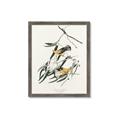 Picture of Two Yellow Warbler Birds _GroupedProduct_Rectangle_Portrait_Framed_Matted_
