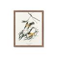 Picture of Two Yellow Warbler Birds _GroupedProduct_Rectangle_Portrait_Framed_Matted_