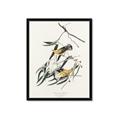 Picture of Two Yellow Warbler Birds _GroupedProduct_Rectangle_Portrait_Framed_Matted_