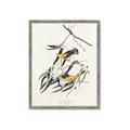 Picture of Two Yellow Warbler Birds _GroupedProduct_Rectangle_Portrait_Framed_Matted_