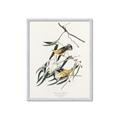 Picture of Two Yellow Warbler Birds _GroupedProduct_Rectangle_Portrait_Framed_Matted_