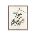 Picture of Two Yellow Warbler Birds _GroupedProduct_Rectangle_Portrait_Framed_Matted_