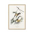 Picture of Two Yellow Warbler Birds _GroupedProduct_Rectangle_Portrait_Framed_Matted_