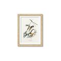 Picture of Two Yellow Warbler Birds _GroupedProduct_Rectangle_Portrait_Framed_Matted_