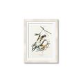 Picture of Two Yellow Warbler Birds _GroupedProduct_Rectangle_Portrait_Framed_Matted_