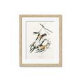 Picture of Two Yellow Warbler Birds _GroupedProduct_Rectangle_Portrait_Framed_Matted_