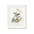 Picture of Two Yellow Warbler Birds _GroupedProduct_Rectangle_Portrait_Framed_Matted_