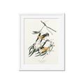 Picture of Two Yellow Warbler Birds _GroupedProduct_Rectangle_Portrait_Framed_Matted_
