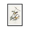 Picture of Two Yellow Warbler Birds _GroupedProduct_Rectangle_Portrait_Framed_Matted_