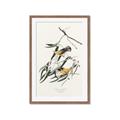 Picture of Two Yellow Warbler Birds _GroupedProduct_Rectangle_Portrait_Framed_Matted_